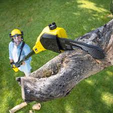 Professional  Tree Services in Cordry Sweetwater Lakes, IN