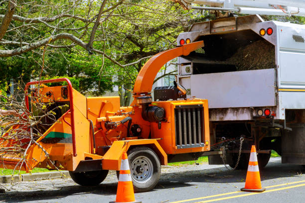 Best Storm Damage Tree Cleanup  in Cordry Sweetwater Lakes, IN