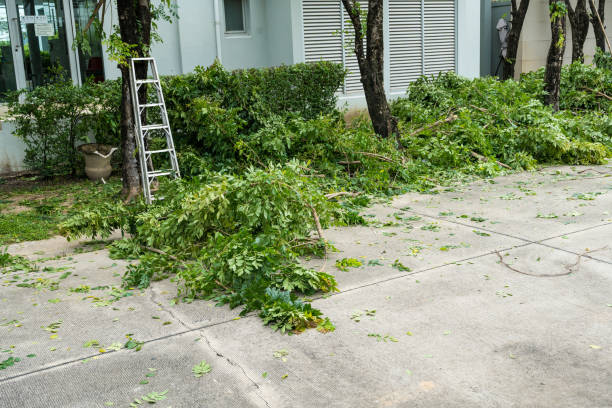 How Our Tree Care Process Works  in  Cordry Sweetwater Lakes, IN